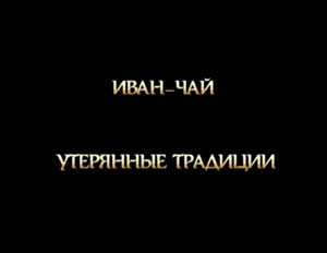 Иван-чай. Утерянные традиции