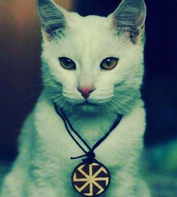 Кошки на Руси