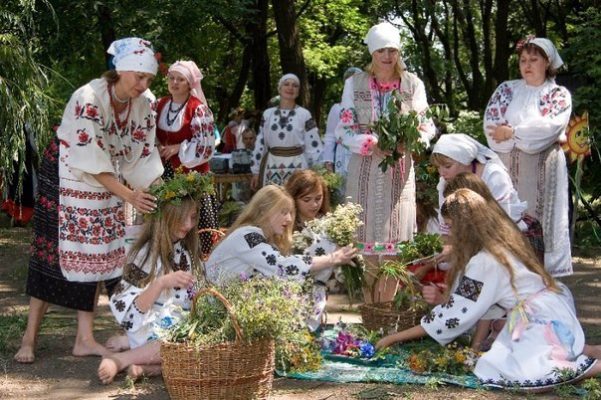 Растения против паразитов