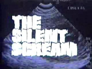 Безмолвный крик / The silent scream