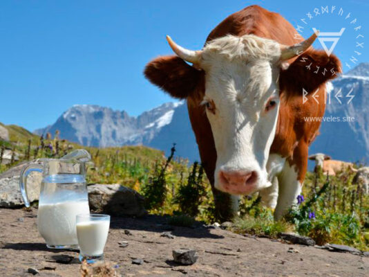 Правда и ложь о молоке и молочных продуктах