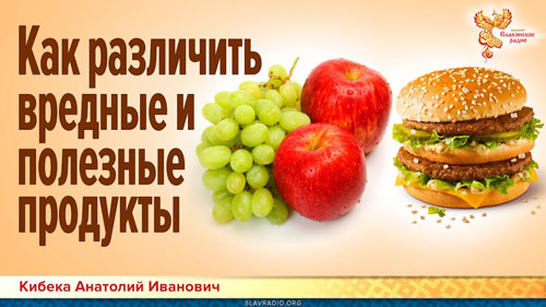 Кибека Анатолий Иванович. Как различить вредные и полезные продукты