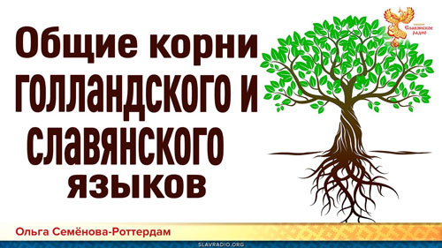 Ольга Семёнова-Роттердам. Общие корни голландского и славянского языков